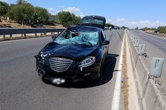 Ciclisti di Andria morti a Terlizzi, sequestrato il cellulare dell'investitore