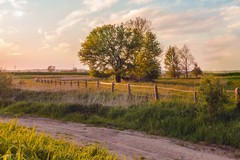 Barletta-Andria-Trani, il 2025 anno del rilancio dell’agricoltura della BAT