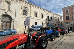 Protesta trattori, il commento del segretario generale della CGIL Flai Bat Riglietti