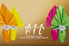 L'AIL torna nelle piazze della provincia Bat con l’iniziativa “Un uovo per la vita”