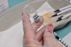 Vaccino anti-Covid, ecco i dati della copertura ad Andria