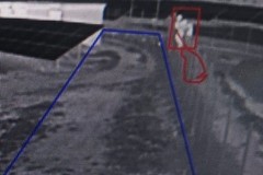 Fallisce furto di pannelli fotovoltaici in un campo sulla provinciale Andria Trani