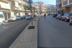 Via Montegrappa, interruzione stradale nella giornata di domani 23 ottobre