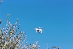 Agricoltura 4.0, droni in volo ad Andria per migliorare la produttività - VIDEO