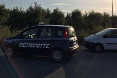 Predoni in azione sulla sp 231: intervento della Metronotte di Ruvo di Puglia