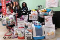 Raccolta di beni e alimenti per randagi, straordinaria catena di solidarietà