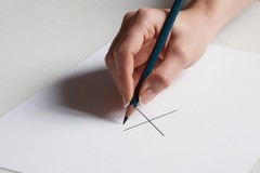 Elezioni regionali del 23 e 24 novembre: gli elenchi dei presidenti di seggio e degli scrutatori sorteggiati