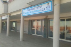 Costituito ad Andria il “Distretto Lattiero Caseario Pugliese”