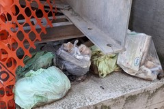 Abbandono dei rifiuti: Ad Andria in arrivo maxi multe e denuncia penale