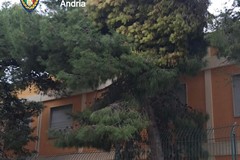 Forti raffiche di vento ad Andria: la Polizia Locale in campo per la sicurezza dei cittadini