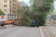 Crollo solaio e vento, variazioni alla viabilità e chiusure stradali urgenti