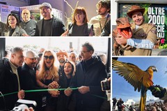 Zoomiguana conquista Trani: il "villaggio" dove il business si mette al servizio del benessere animale e del "bambino che è in noi"