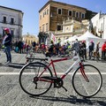 Una domenica di corsa con il Gruppo Sportivo Ciclo Avis di Andria