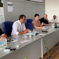 Xylella, Pac, calamità naturali e burocrazia: le richieste degli olivicoltori al Ministro Bellanova