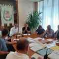 Cattivi odori a Barletta, il Sindaco Cannito: «Potrebbero giungere anche dalle città vicine»