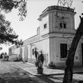 Andria torna ad ospitare "La Camminata tra gli olivi ", presso l'azienda “Le 4 contrade”