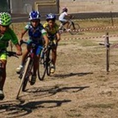 A Bitonto vince l'AndriaBike la 5^ prova regionale di cross country