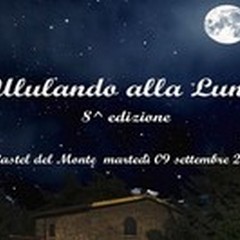 Ululando alla luna con il WWF di Andria
