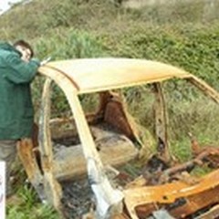 Scheletri di auto in campagna