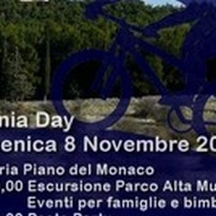 X-Mania Day