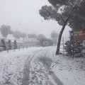 Maltempo, nevica su mandorli già in fiore e verdure bruciate nei campi