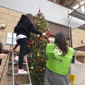 Ad Andria un albero di Natale speciale: è del buon proposito