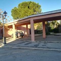 Lavori allargamento sp 2: verso la diffida alla provincia Bat per chiusura accesso diretto a Montegrosso