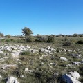 Scopri e fotografa il patrimonio geologico della Puglia