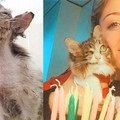 La storia stupenda di "Mezzo faccino " targata Enpa Barletta e clinica Andriavet