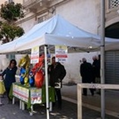 Un uovo di cioccolato contro il cancro dell'Amo Puglia