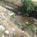 Fatto cadere nel fango del canale Ciappetta Camaggio: grave episodio di bullismo