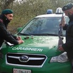 Carabinieri Forestali di Andria: sequestrate armi a tre cacciatori