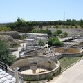 Giornata mondiale dell’acqua: in Puglia piove ma acqua va dispersa per le reti colabrodo