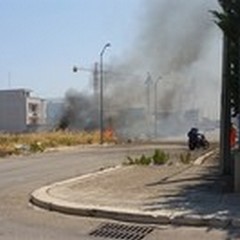 Incendio di sterpaglie nei pressi dell'Isola Ecologica in via Sofocle