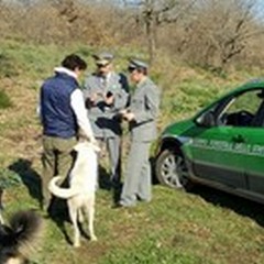 Tesserini falsi per la raccolta dei tartufi: tre denunciati