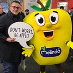 Chiude Fruit Logistica di Berlino, Andria e la Puglia sempre più protagoniste