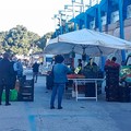 Mercati settimanali ancora fermi, Carriera e Nazzarini: “Situazione insostenibile”
