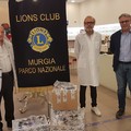 Il Lions Club Murgia Parco Nazionale dona occhiali nuovi e usati ai Paesi in via di sviluppo