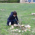 3Place dona  "l'Albero del buon proposito " al Centro residenziale  "San Michele " di Andria