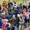 Benvenuta primavera, gli alunni del 1° Circolo Didattico “Oberdan” di Andria piantano due nuovi ulivi