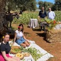 Il XXV aprile in Puglia all'aria aperta, tra verde ed animali, con fave, pane e pecorino