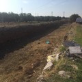 Nuovo intervento di pulizia straordinaria al canalone Ciappetta-Camaggio