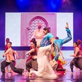 Grande successo per il musical “La storia di Aladdin”