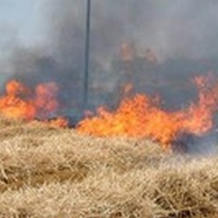 Prevenzione incendi boschivi: ordinanza sindacale ad Andria