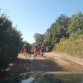 Nuovo incendio in contrada Abbondanza