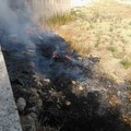 Copertoni in fiamme sulla SP. 231 all'altezza di Corato