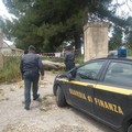 Capannone adibito a discarica abusiva, sequestrato opificio in contrada Martinelli