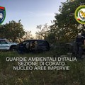 Auto rubate scoperte tra Andria e Corato dalle Guardie Ambientali d'Italia