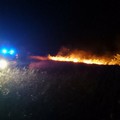 Incendio a Castel del Monte, interessata anche la contrada Posta di Grotte