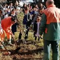 Celebrata la Festa dell'Albero al Circolo didattico  "Rosmini "